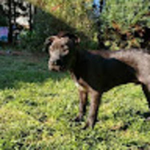 Meet your Posher, Tyler